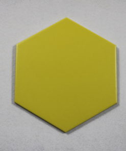 Hexagonal Tile - M23205