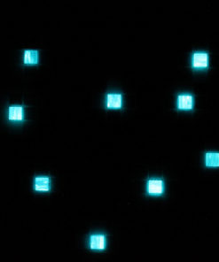 Luminous Mosaic - SS LM02
